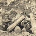 Photograph: Scene of destruction in or near Yokohama