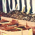 Postcard: The remains of bodies at the site of the Honjo Clothing Depot