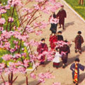 Postcard: Sumida Riverside Park after reconstruction