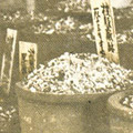 Postcard: Urns filled with the ashes of the dead at the site of the Honjo Clothing Depot